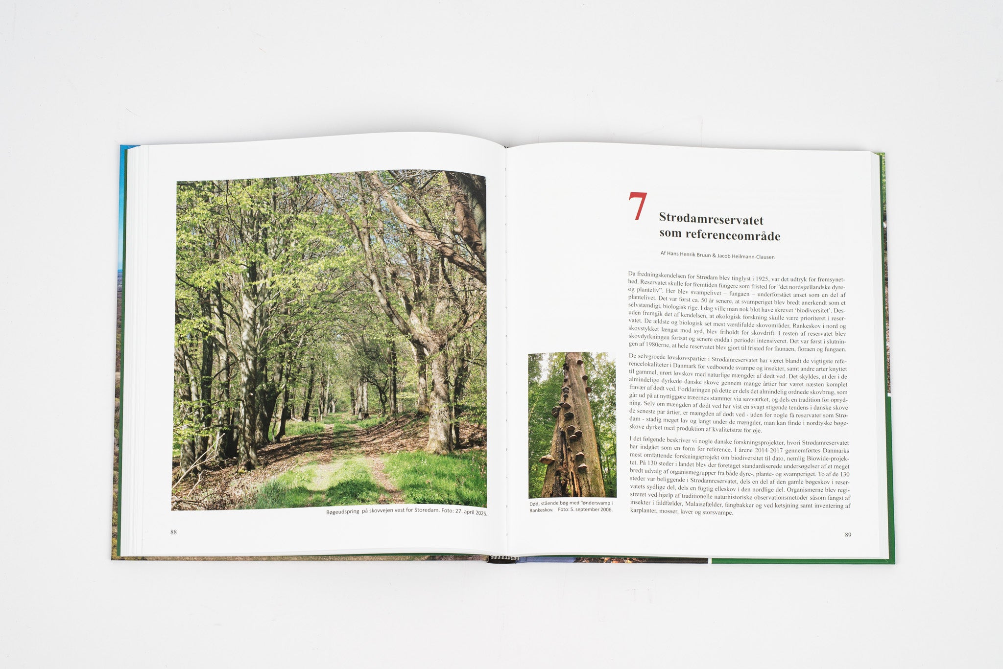Flemming Rune: Strødam. Naturreservat i 100 år.